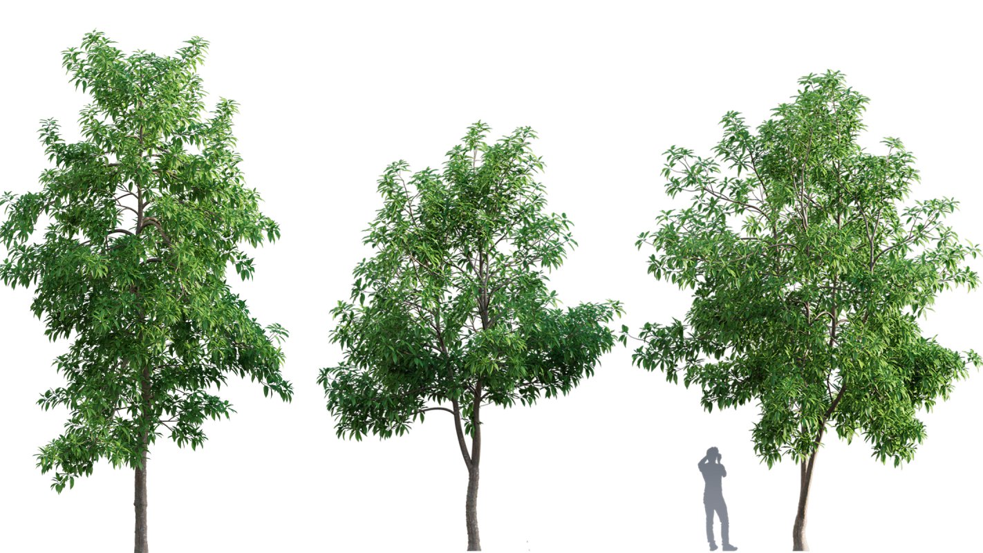 Collection 03 – Park - Image 15