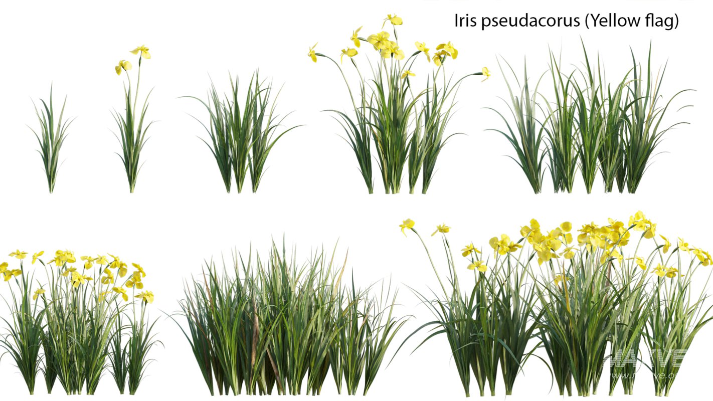 Collection 14 – English Garden - Image 26