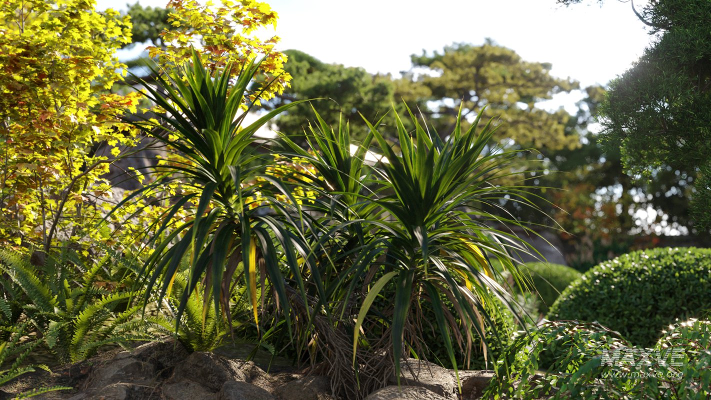 Collection 06 – Japanese Garden - Image 3