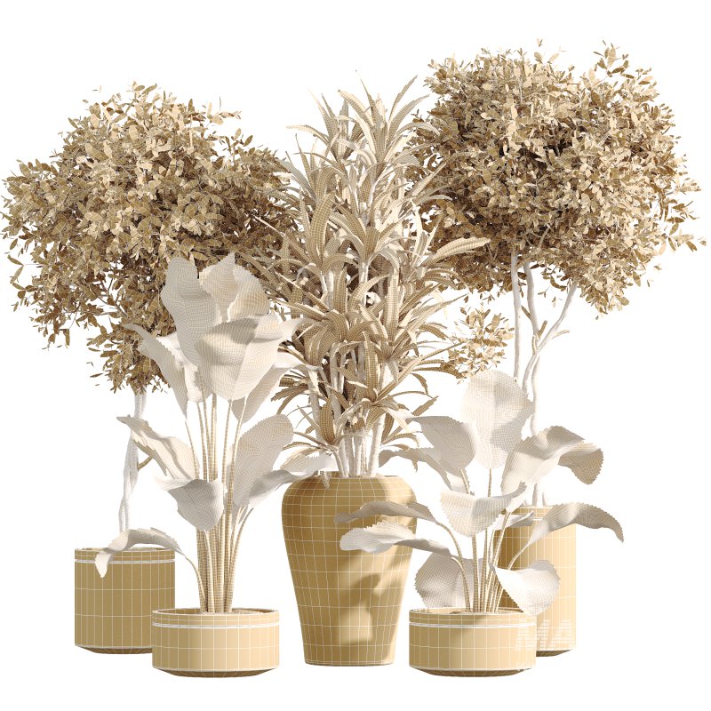 AV Indoor Plants Set 257 Dracaena Marginata and Olive and Bird of paradise - Image 8