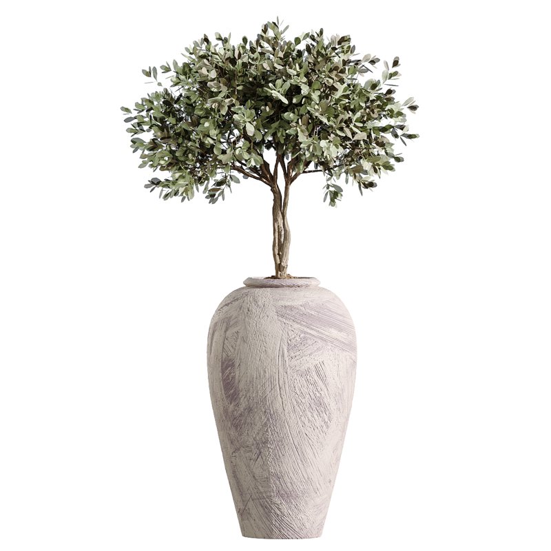 AV Indoor Plants Set 348 Olive Tree and Rhapis Excelsa Lady Palm and Warneckii Lemon - Image 4