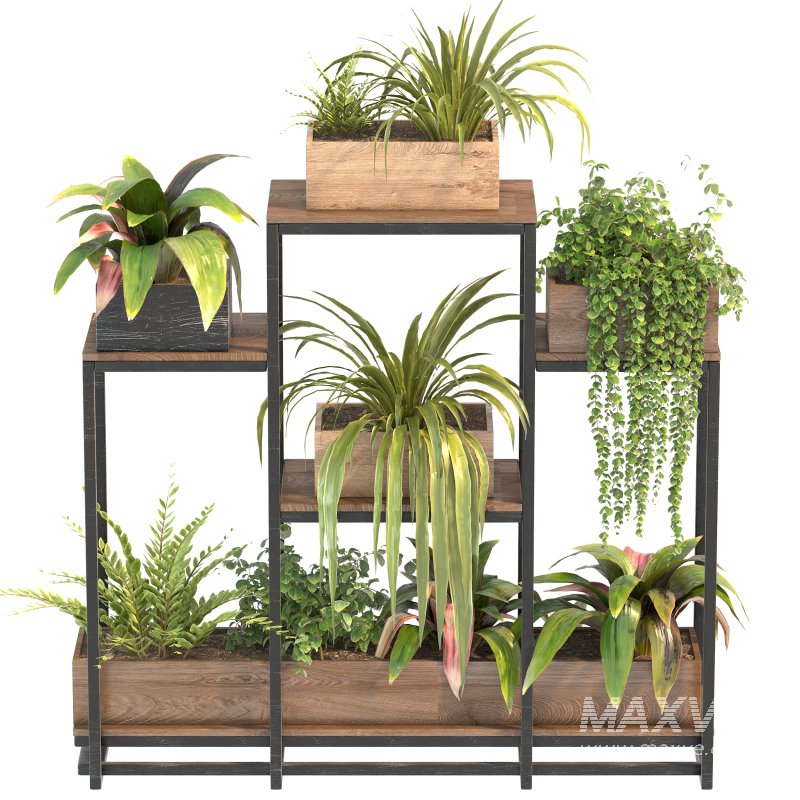 Plant Set 07 - Image 4