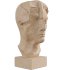 Ancient Greek Man Head Statue - Thumbnail 4
