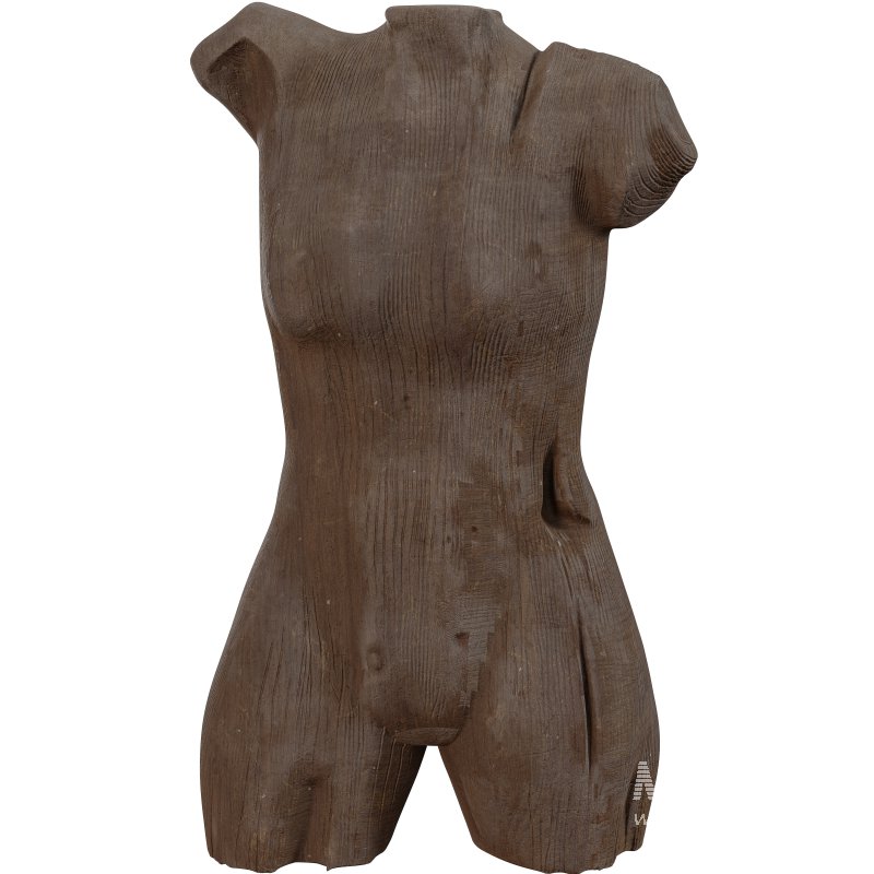Wooden Man Body Statue - Image 5