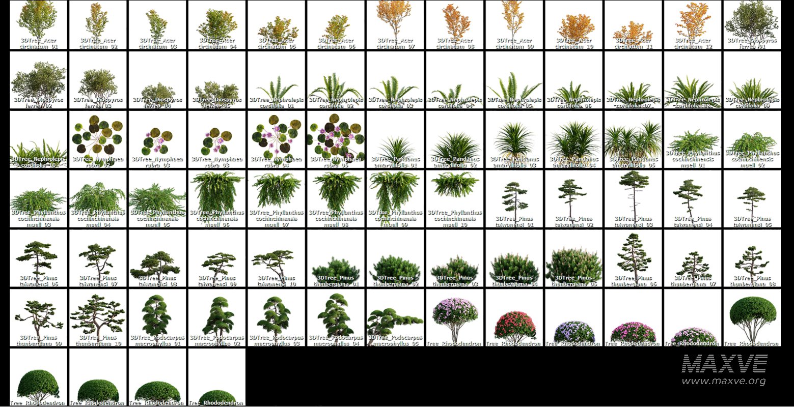 Collection 06 – Japanese Garden - Image 21