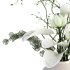 Flower In Vase 028 - Thumbnail 2