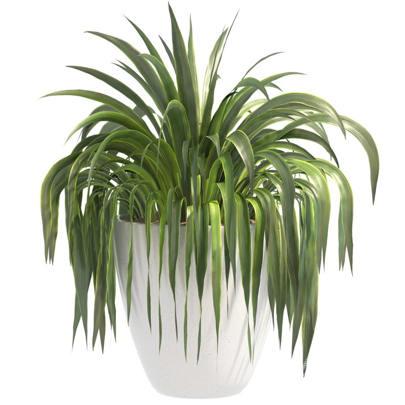 Stone Pot Plant Set - Image 7