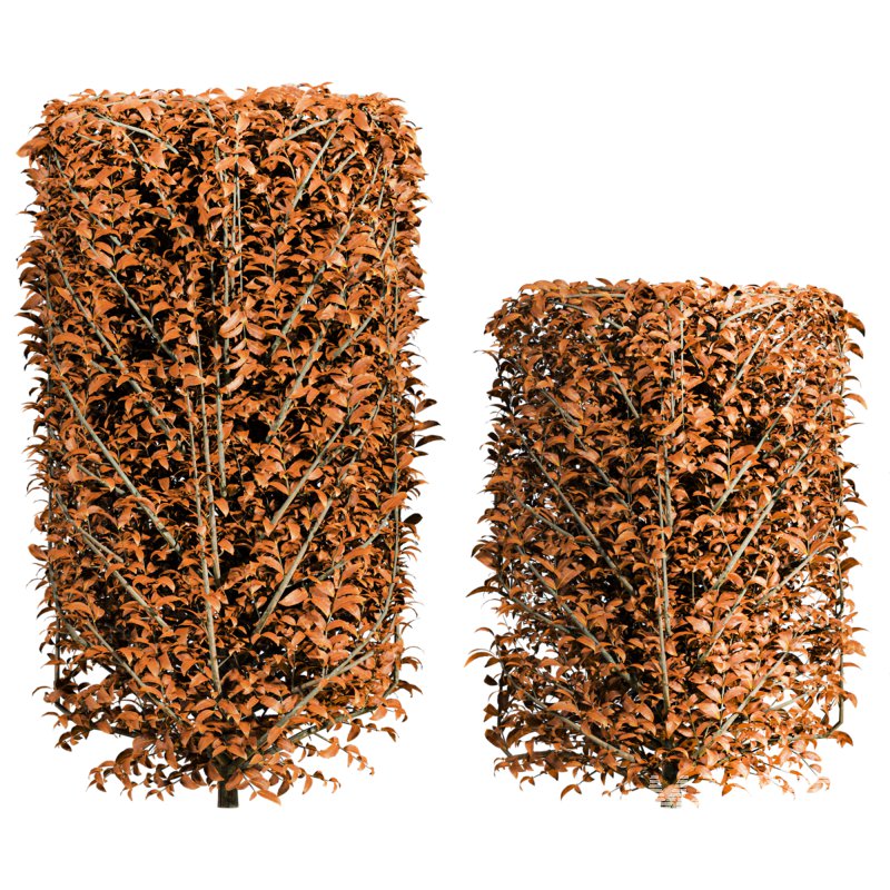 Autumn Bush Plants Set - Image 2