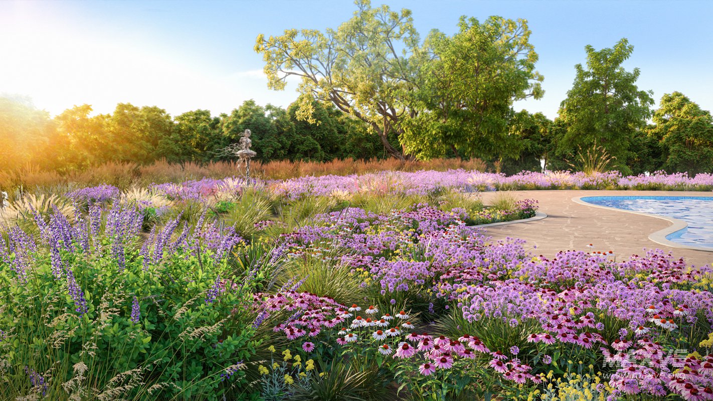 Collection 05 – Flower Garden - Image 1