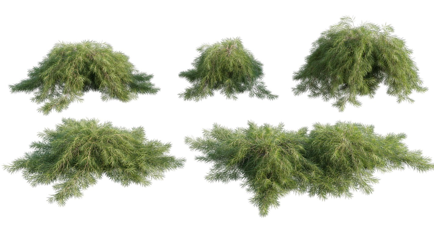 Collection 11 – Ground cover – Vines and Creepers - Image 8