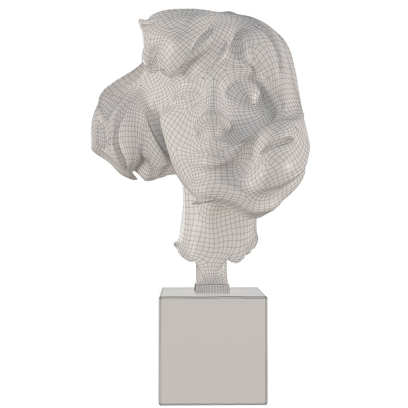 Clay Head Woman - Image 1