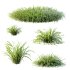 ntal grasses are widely used in landscaping for ground cover, edging, and creating natural textures in gardens. The set offers realistic density and organic variation, making it ideal for exterior design, botanical compositions, and architectural visualizations. With clean topology and 4K textures, these models ensure both high performance and lifelike detail. - Thumbnail 2