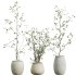 AV Indoor Plants Set 312 Japandi Decorative Minimalism Ficus Dracaena Marginata - Thumbnail 1