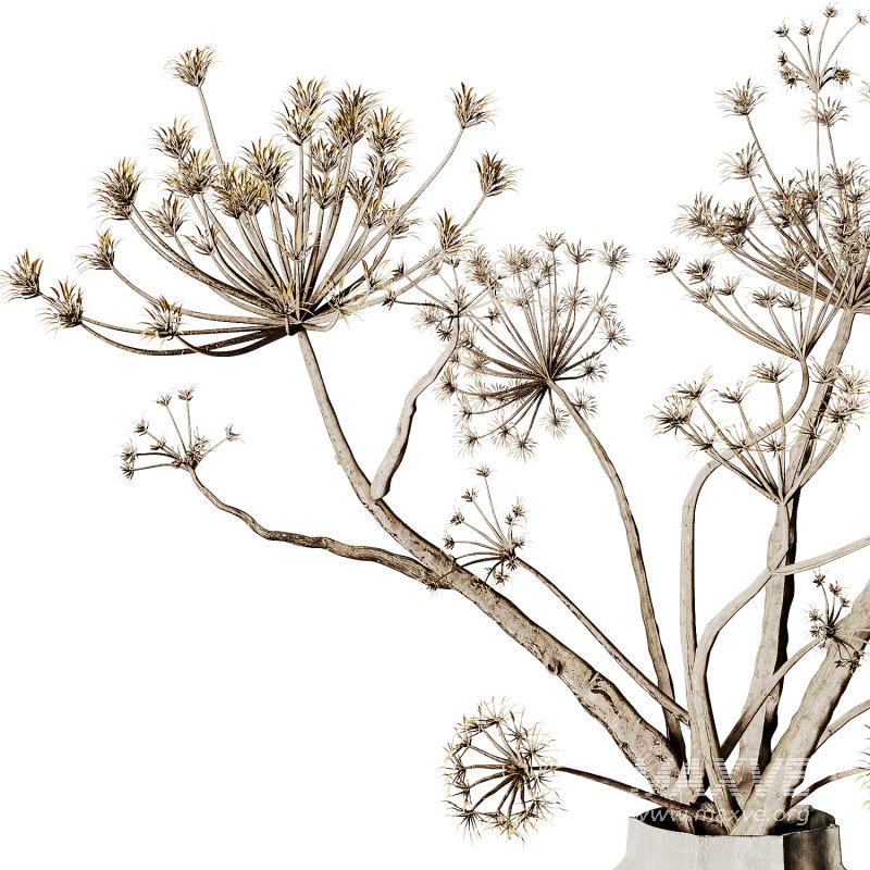 Bouquet R9 - Image 5