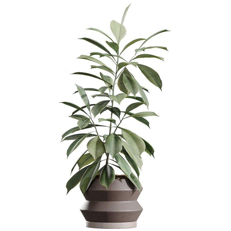 AV Indoor Plants Set 336 Olive and Areca Palm and Banana Nicolai and Ficus Fig - Image 1