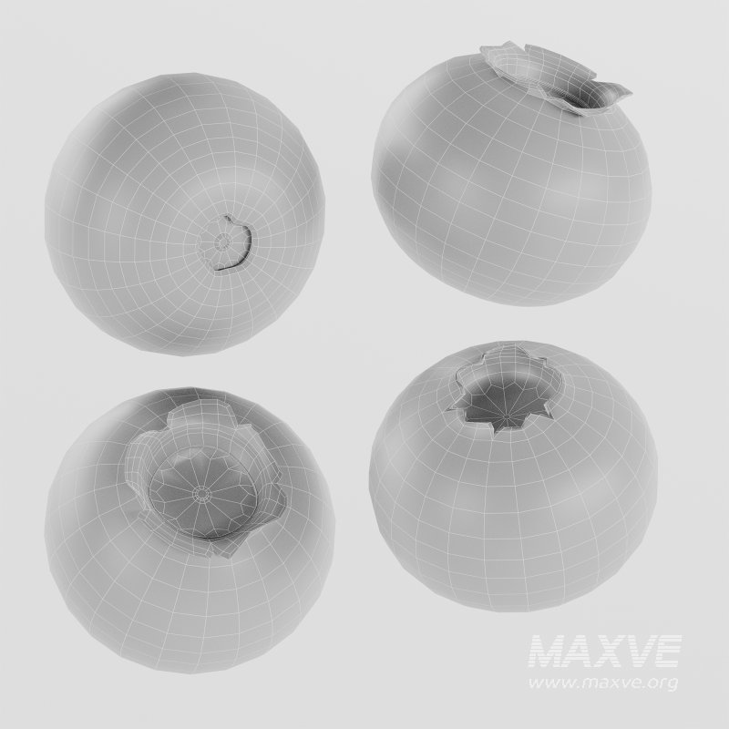 Blueberries - Image 4