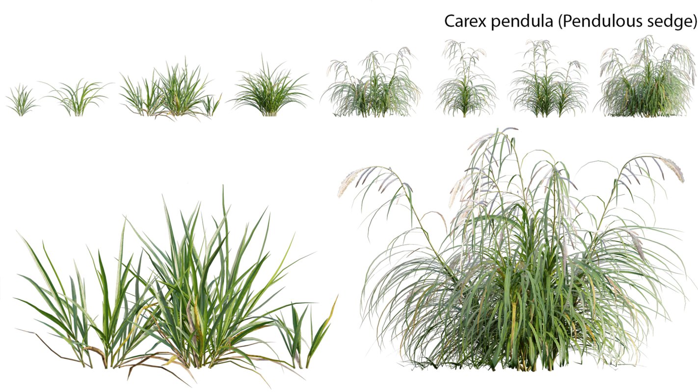 Collection 14 – English Garden - Image 17