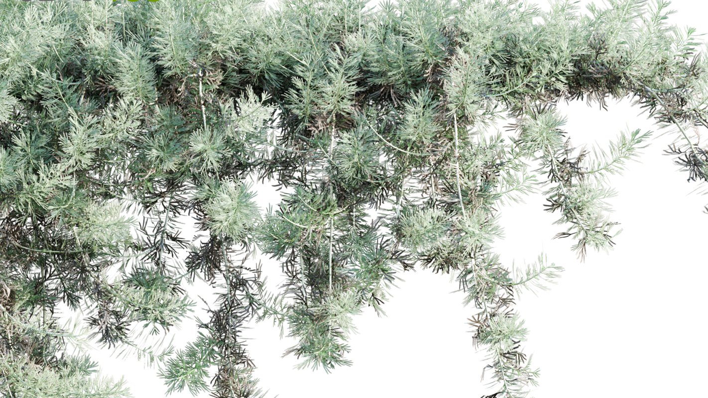 Collection 11 – Ground cover – Vines and Creepers - Image 15