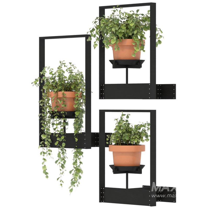 Boho Hanging Plants 04 - Image 6