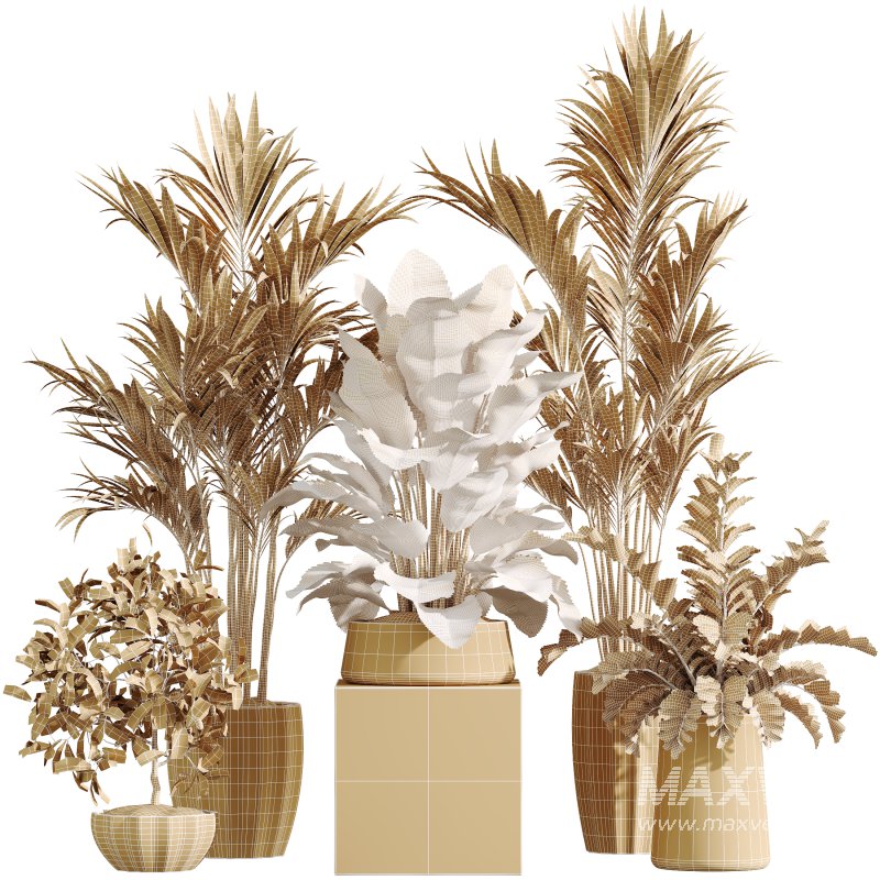 AV Indoor Plants Set 361 Zamiifolia and Areca Palm and Bird Of Paradise and Briful Pachira - Image 9