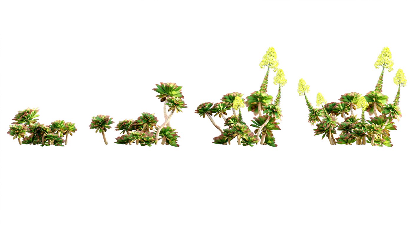 Collection 02 – Mediterrannean Garden - Image 11