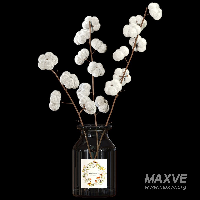A Bouquet of Cotton - Image 3