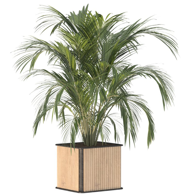 Plant Set 09 - Image 6