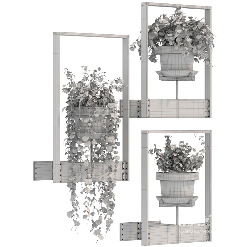 Boho Hanging Plants 04 - Image 2