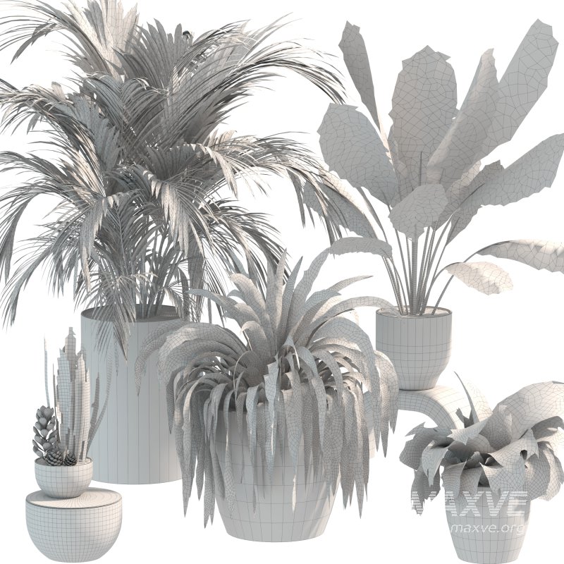 Plant Set 10 - Image 1