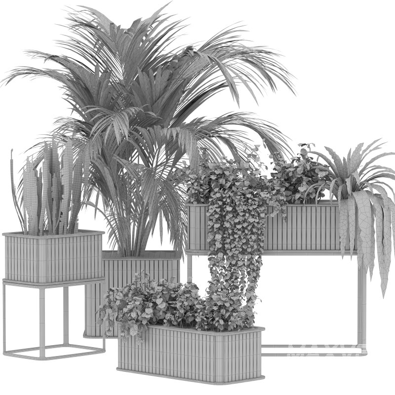 Plant Set 09 - Image 2