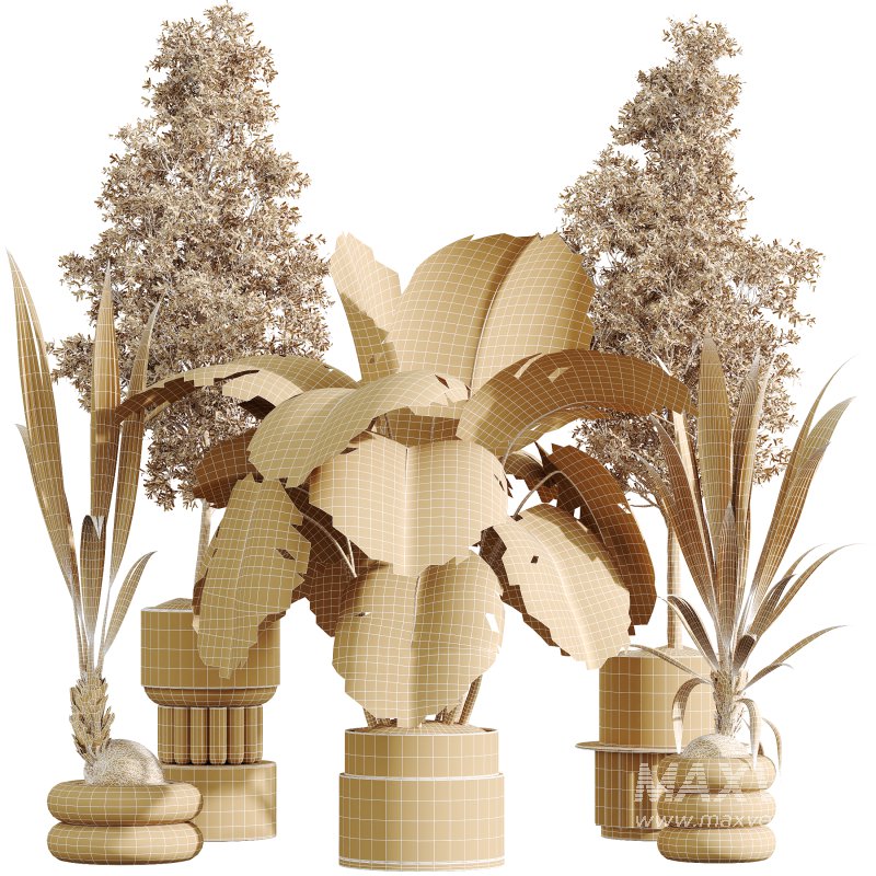 AV Indoor Plants Set 332 Swiss Cheese and Mission Olive and nucifera Coconut Palm - Image 8