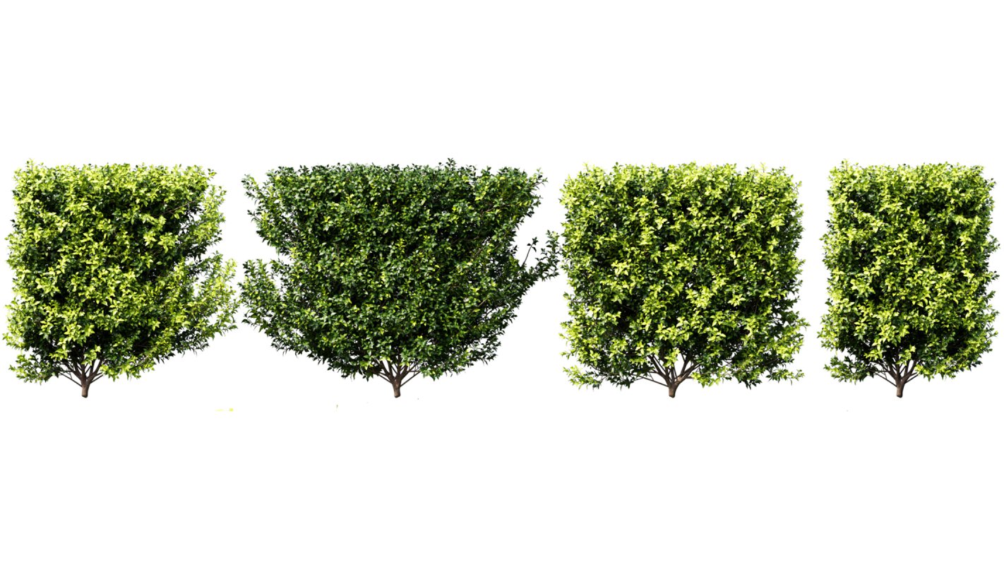 Collection 02 – Mediterrannean Garden - Image 4