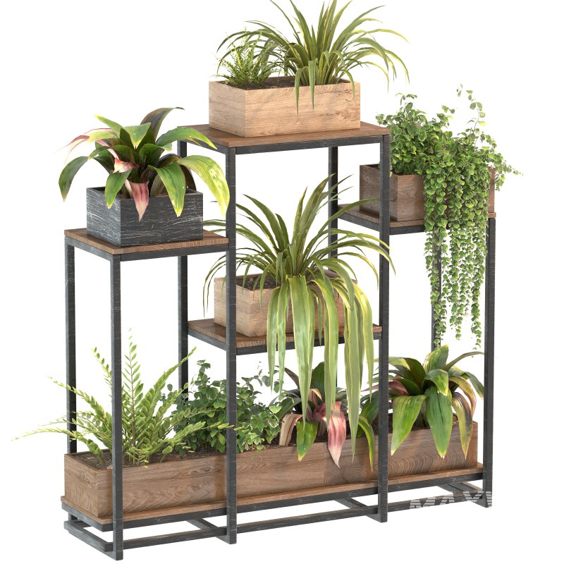 Plant Set 07 - Image 3