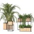 Plant Set 09 - Thumbnail 4