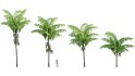 Collection 10 – Palm garden - Thumbnail 7