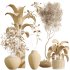 AV Indoor Plants Set 358 Ficus Dracaena Marginata and Banana Strelitzia Nicolai - Thumbnail 11