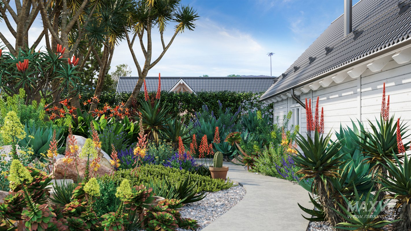 Collection 02 – Mediterrannean Garden - Image 1