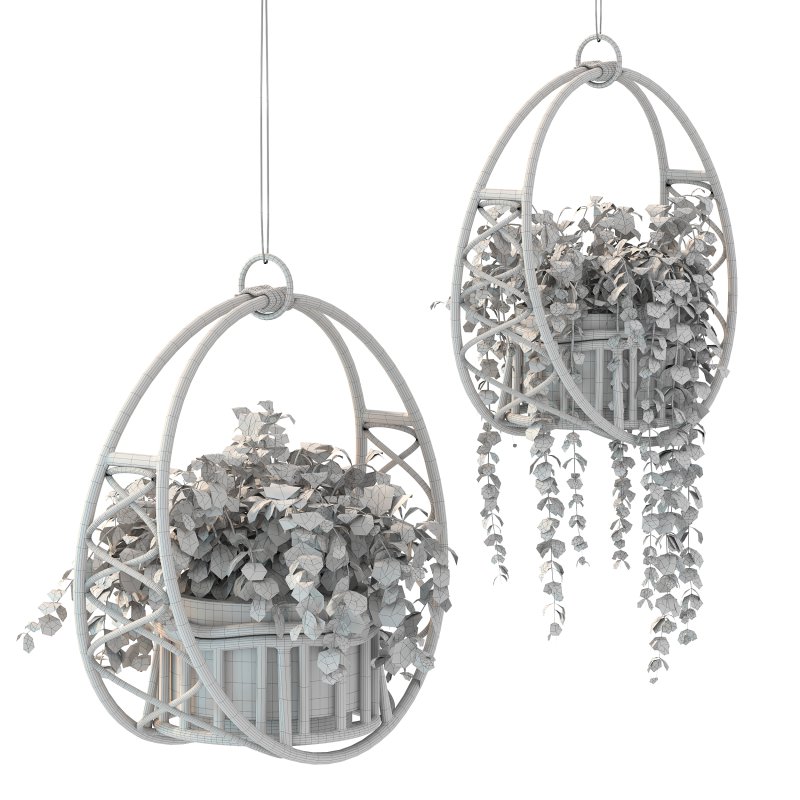 Boho Hanging Plants 05 - Image 1