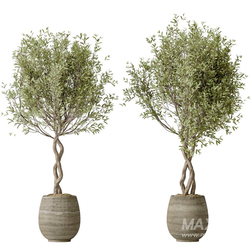 AV Indoor Plants Set 323 Olive Artificial Tree - Image 2