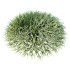 ntal grasses are widely used in landscaping for ground cover, edging, and creating natural textures in gardens. The set offers realistic density and organic variation, making it ideal for exterior design, botanical compositions, and architectural visualizations. With clean topology and 4K textures, these models ensure both high performance and lifelike detail. - Thumbnail 8