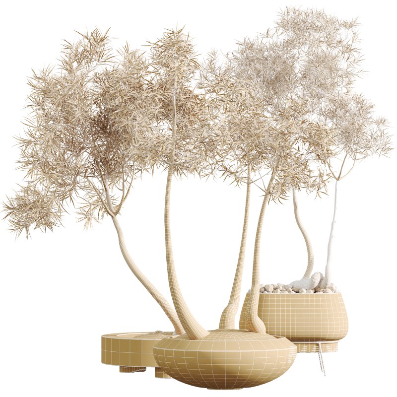 AV Indoor Plants Set 324 Japandi Decorative Minimalism Ficus Dracaena Marginata - Image 10