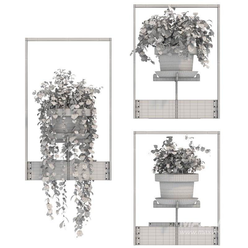 Boho Hanging Plants 04 - Image 3