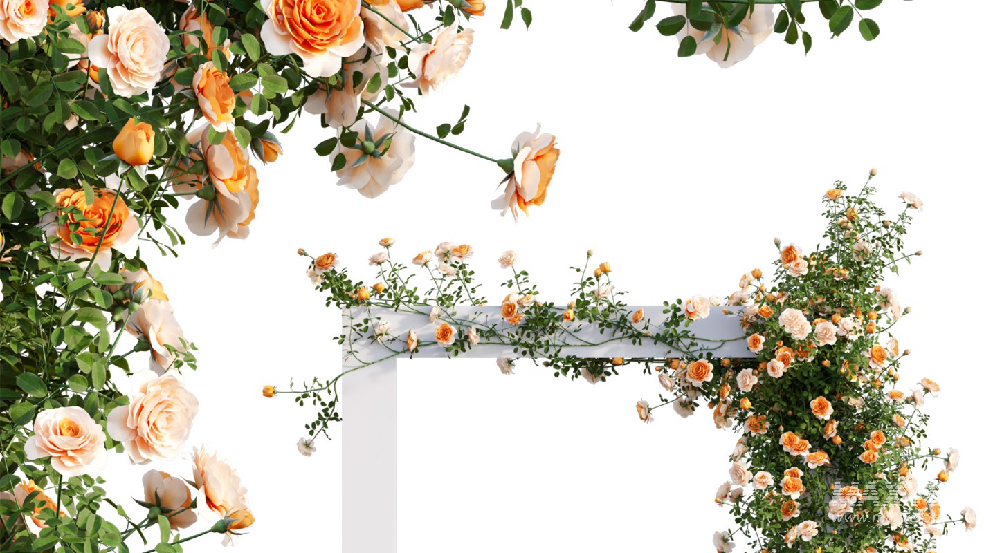 Collection 08 – Rose Garden - Image 39