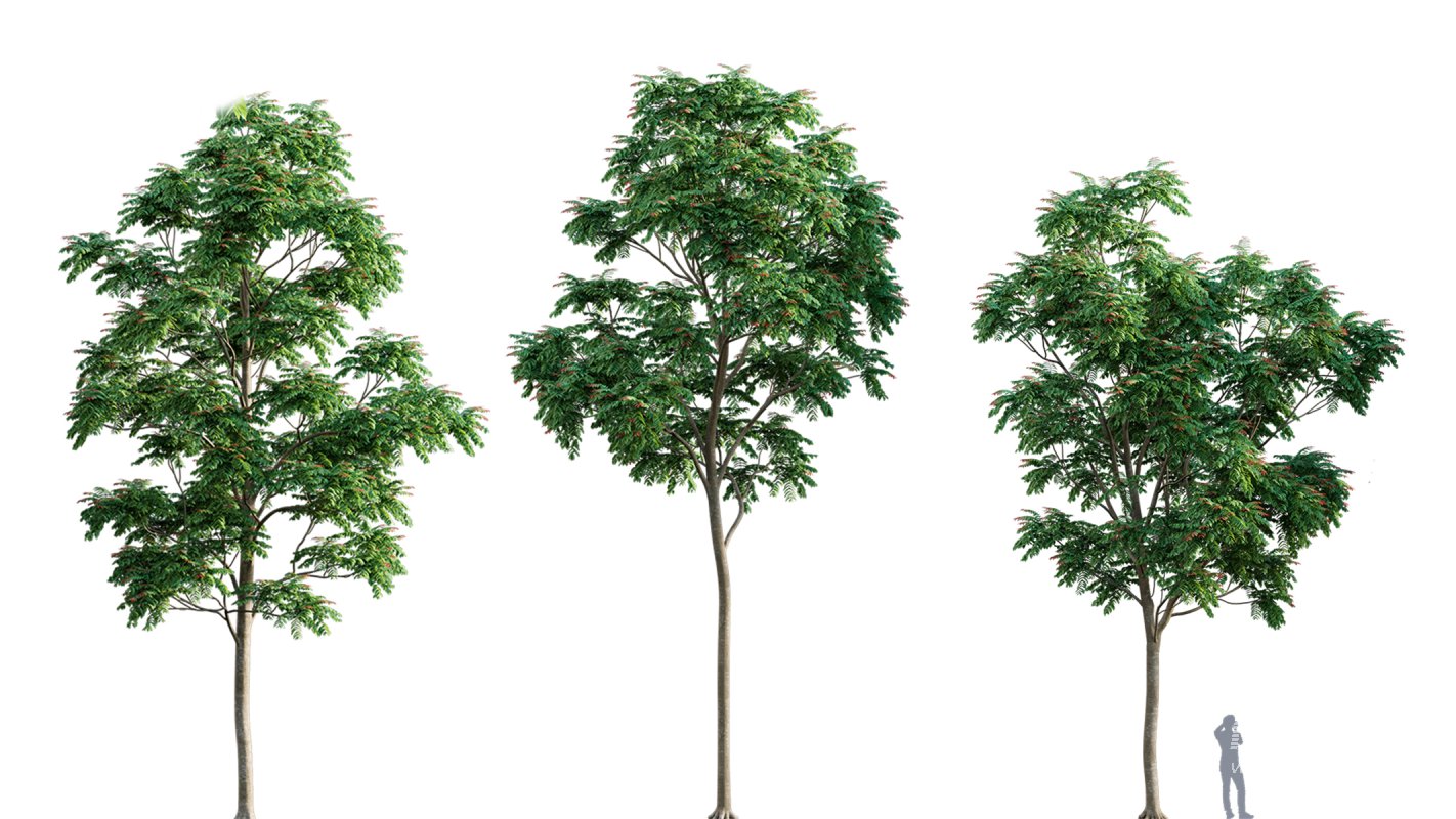 Collection 03 – Park - Image 10