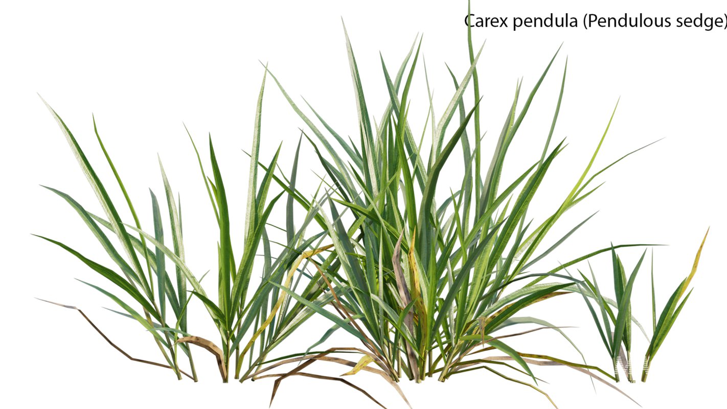 Collection 14 – English Garden - Image 18