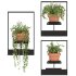 Boho Hanging Plants 04 - Thumbnail 5