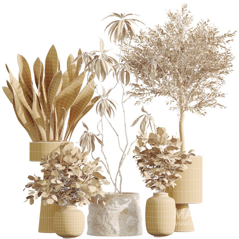 AV Indoor Plants Set 343 Eucalyptus Bouquet and Olive and Ficus Dracaena and Sansevieria - Image 8