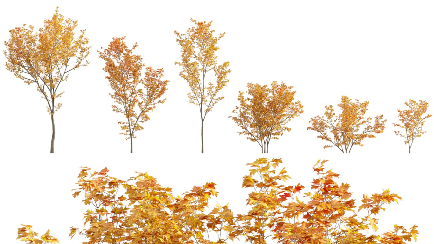 Collection 06 – Japanese Garden - Image 5