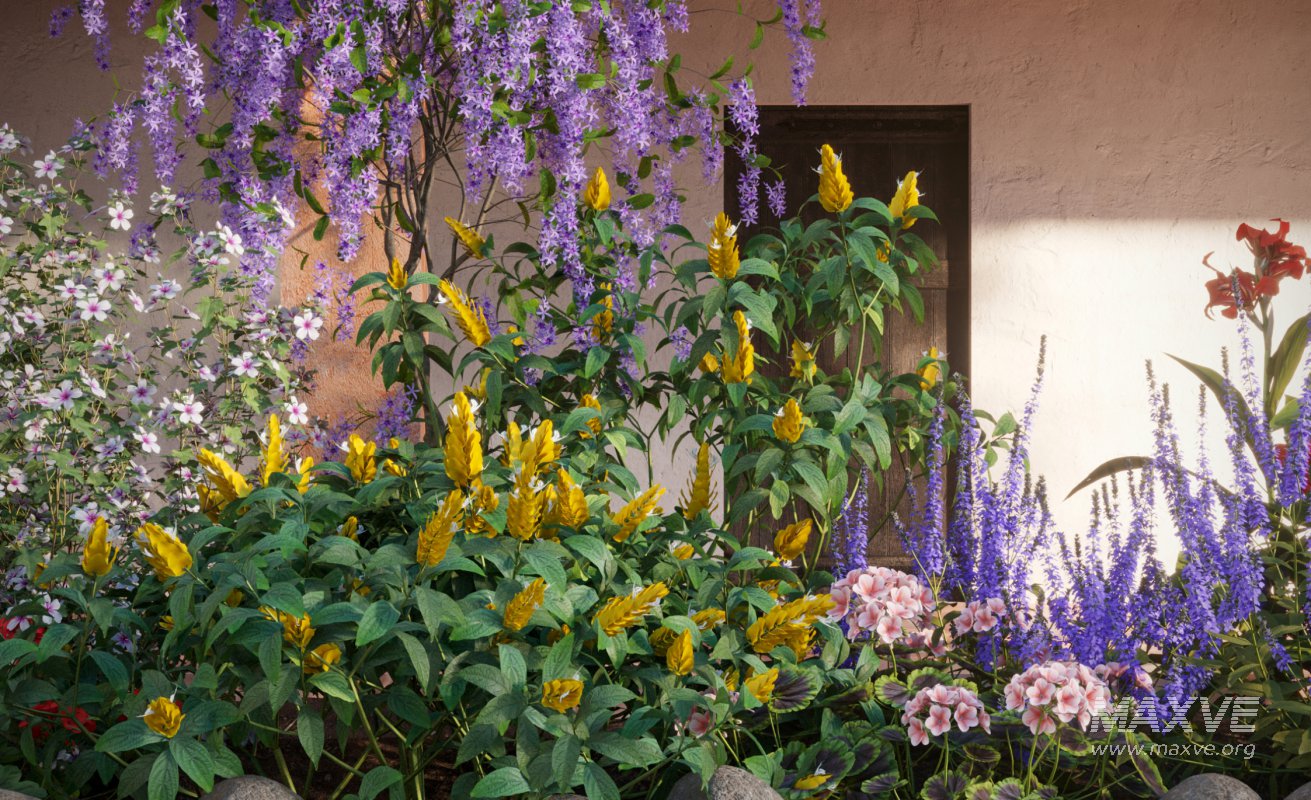 Collection 07 – Central America Garden - Image 3