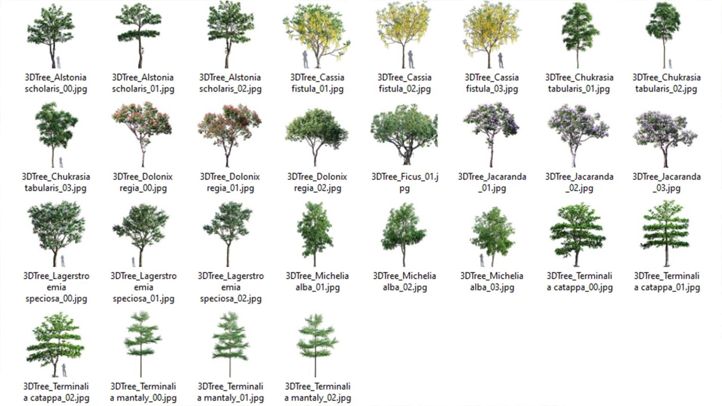 Collection 03 – Park - Image 16